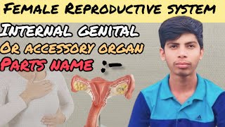 Internal Genital Organ amp Accessory organ parts name ॥ Female Reproductive system in Hindi 🤔 [upl. by Joete]