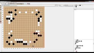 AlphaGo VS FanHui 1 [upl. by Abram]