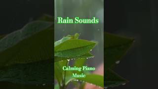 Calming Piano Sleep Music music rain calmingmusic chill [upl. by Ggerk]