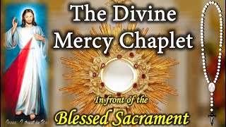 Divine Mercy Chaplet in front of the BLESSED Sacrament Virtual [upl. by Tamra44]