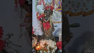 Govardhan puja 2024 giriraj ki jai [upl. by Anewor]