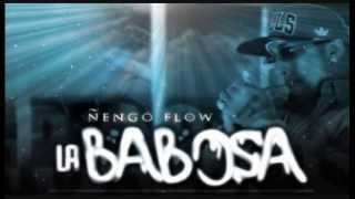 Ã‘engo Flow  La Babosa Mix â•¬ å°º â•¬ Abril 2013 â•¬ [upl. by Aterg]