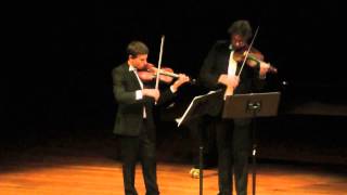 JHaydn Violin Duet in B Flat Major op99 1st movement [upl. by Gilford]