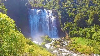 Natural Beauty New Zealand  North Island [upl. by Naasar]