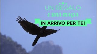 🐦‍🔥UN REGALO MAGICO IN ARRIVO PER TE🐦‍🔥tarocchi interattivi [upl. by Winifred]