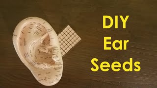 Doityourself Ear Seeds [upl. by Billy]