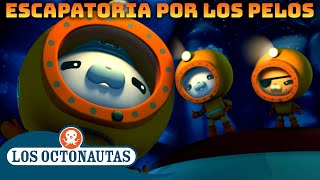 Los Octonautas  Escapatoria por los pelos 💫  Recopilación  Episodios Completos [upl. by Jenny]