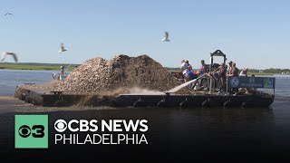 How New Jersey’s shell recycling program keeps the oyster population thriving [upl. by Alyks]