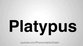 How to Pronounce Platypus [upl. by Lehcor]