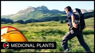 An Intro to Medicinal Plants [upl. by Boycey314]