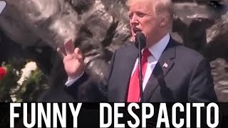 Despacito  Donald Trump Singing Despacito And other quotDespasitoquot fails [upl. by Netsirt]