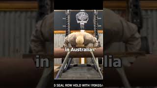 Tom Haviland 320kg Zercher Squat amp Snakes On A Log fitness [upl. by Varion618]