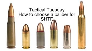 Tactical Tuesday How to choose a caliber for SHTF [upl. by Richy]