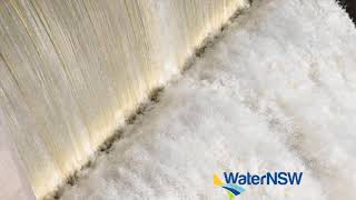 Warragamba Dam spilling  August 2020 [upl. by Naruq]