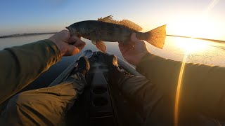 EPIC morning of QUALITY bay bass on the KAYAK before work [upl. by Harima303]