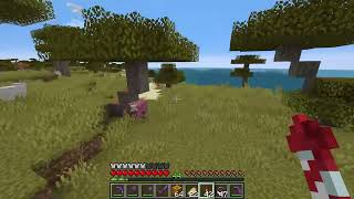 Chances of Finding a wild Pink Sheep what are the odds  Minecraft 121 [upl. by Nagud318]