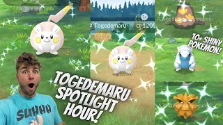 ✨Togedemaru Spotlight Hour In Pokemon Go✨ [upl. by Ilyssa]