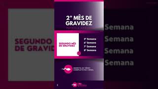 2 Meses de gravidez  Semanas 5 6 7 e 8 [upl. by Yehtomit]