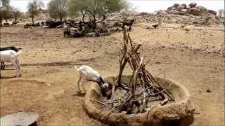 WMG in Burkina Faso  Gabions for Watershed Restoration [upl. by Kattie]