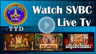 HDLive  Srivari Kalyanam  Tirumala  SVBCTTD HD LIVE STREAMING  SVBCTTD [upl. by Ylera59]