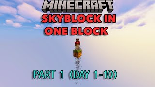 Minecraft OneBlock SkyBlock  Timelapse 1 [upl. by Mandel355]