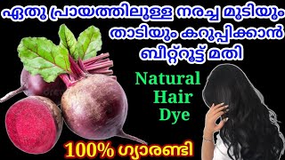 Natural Hair Dye  Beetroot  ഏതു പ്രായത്തിലുള്ള നരച്ച മുടിയും താടിയും കറുപ്പിക്കാൻ ബീറ്റ്റൂട്ട് മതി [upl. by Rodge]