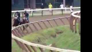 Palace Malice amp Verrazano breeze August 18 at Saratoga for G1 Travers [upl. by Auqenet]