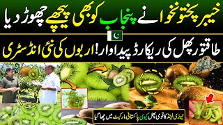 KPK Made a New Record After Punjab  KIWI Cultivation in Pakistan  Discover Pakistan [upl. by Partridge792]