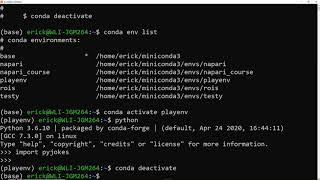 Master the basics of Conda environments in Python [upl. by Acimahs892]