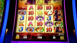 Buffalo Rising Slot Machine NICE WIN Bonus [upl. by Katerine]