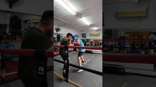 Boxing Spar vs Mr Lum Round 2 [upl. by Mcloughlin]