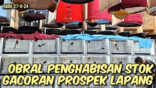 OBRAL PENGHABISAN STOK ‼️ GACORAN PROSPEK LAPANG TROTOL TRAH PRESTASI 🔥🔥🔥 [upl. by Elmira]