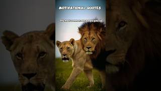 quotRealizing Your Power A Path to SelfEmpowermentquot 🤯🦁 youtubeshorts trendingshorts viralshorts [upl. by Oberg]