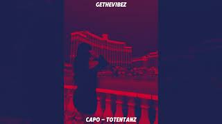 CAPO  TOTENTANZ SLOWED  REVERB [upl. by Anauj623]