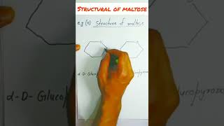 Haworth projection formula of Maltose [upl. by Aibar]