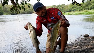 Pesca De Robalos De Río [upl. by Aicenek113]