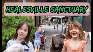 Our visit to the Healesville Sanctuary Zoo Victoria 2022 [upl. by Siletotsira]