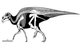 Maiasaura  Enciclopedia sobre Dinosaurios [upl. by Attenov]