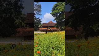 Thali Siva temple Arangottukara thrissur Shorts sindooram peythirangi [upl. by Adnicaj]