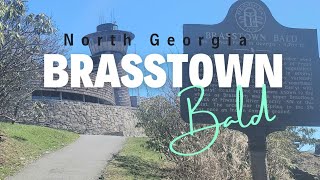 Brasstown Bald  Climbing Georgias Highest Peak  Best Georgia Family Hikes [upl. by Orabelle328]