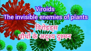 Viroids  the invisible enemies of plants विरोइड्स पौधों के अदृश्य दुश्मन [upl. by Goldina]