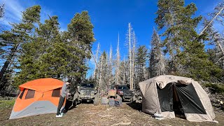 Long Range Overland Camping Setups  Suburban Tacoma and Jeep [upl. by Toiboid]