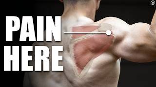 Rotator Cuff Tear Rehab amp Exercises Shoulder Pain Tendinitis Impingement [upl. by Yecal]