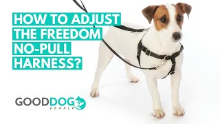 How to adjust the Freedom NoPull Harness for dogs [upl. by Caasi900]