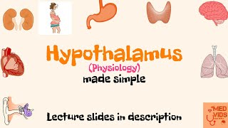 Hypothalamus physiology  Physiology  Med Vids made simple [upl. by Siron]