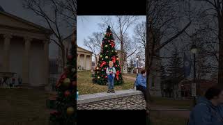 Christmas tree lighting 2022 christmascelebration [upl. by Almeeta]