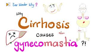 Why Cirrhosis causes Gynecomastia Spider angiomata Palmar erythema  Ever Wonder Why [upl. by Giaimo]