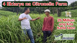 4 Ektarya na Citronella Farm Kumikita ng 26 Million Kada Taon  Negosyo Philippines [upl. by Yetah907]