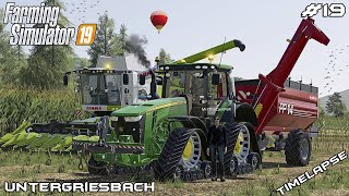 Harvesting CORN with MrsTheCamPeR 🌽🚜  Animals on Untergriesbach  Farming Simulator 19  Episode 19 [upl. by Asselem248]