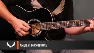 Dean Guitars product Demo  Dean Exhibition Ultra AcousticElectric with USB [upl. by Aivartal]